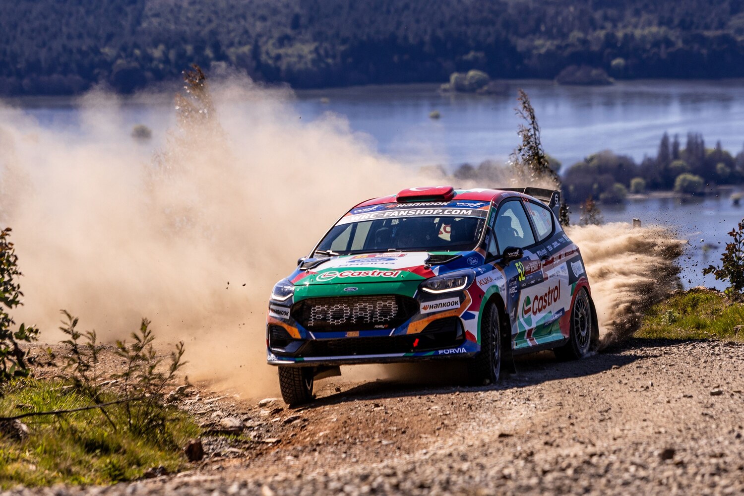 Castrol Ford Team Türkiye Şili Rallisi'nde yarış anı