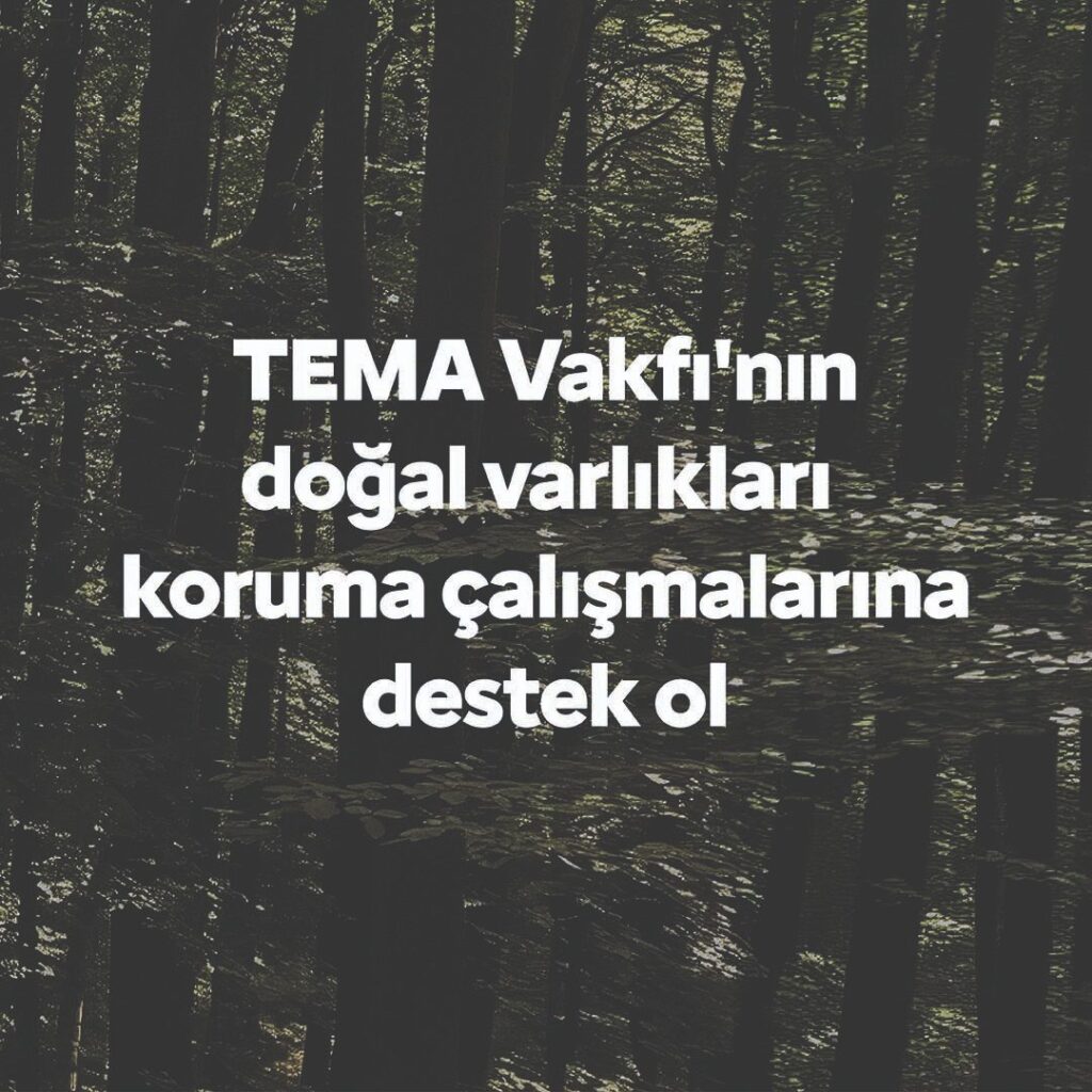 TEMA Vakfı doğal varlıkları koruma çağrısı