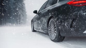Petlas SnowMaster 2 kış lastiği